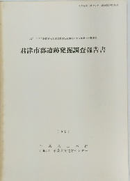 君津市郡遺跡発掘調査報告書