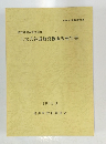 上太夫谷遺跡発掘調査報告書 1991.3