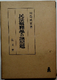 民法解釋學の諸問題 