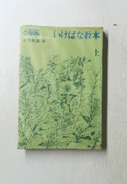 いけばな教本　上