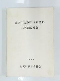 恵那郡福岡町下島遺跡発掘調査報告1981