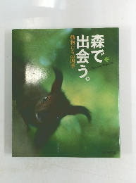 動物たちの四季  森で出会う。