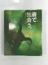 動物たちの四季  森で出会う。