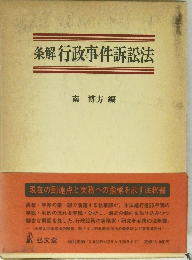 条解行政事件訴訟法 