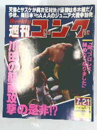 週刊ゴング　1994年7/21号　No.521