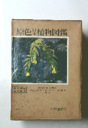 原色日本植物図鑑　草本編(Ⅲ)