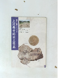 上淀廃寺跡出土壁画