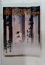 藤波用平の世界　28　2007年6/3号