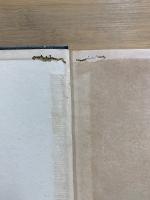 一日一善 : 求道読本