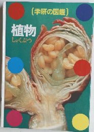 植物しょくぶつ
