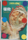 植物しょくぶつ