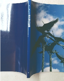 淀井敏夫の世界