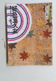 コミケラフィック 日本の古典 12　好色五人女