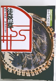 コミケラフィック 日本の古典10