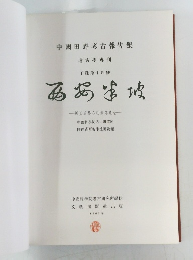 中國田野考古報告集　丁種第十四號