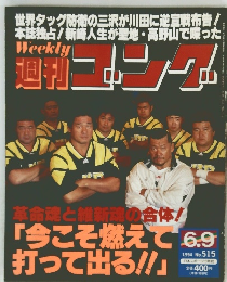 週刊ゴング　1994年6月号