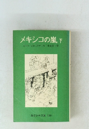メキシコの嵐　下