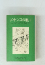 メキシコの嵐　下