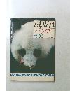 PANDA　パンダ　熊猫