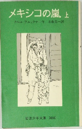 メキシコの嵐上