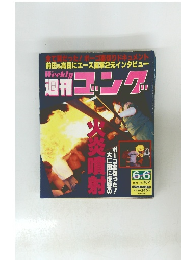 週刊ゴング　1991年6/6号　No.362