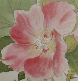 山口蓬春下図・模写・素描展