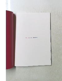 SAA, DONNA JIDAI WO TSUKUROUKA