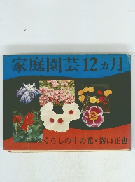 家庭園芸12ヵ月　くらしの中の花・溝口正也