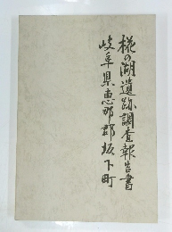 椛の湖遺跡調査報告書岐阜県恵那郡坂下町