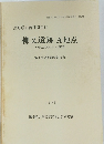 柳又遺跡 A地点 1993年