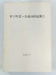 坂下町濃ヶ池遺跡調査報告　1977