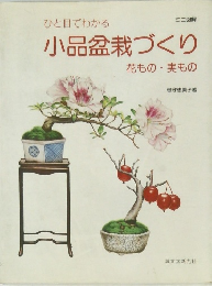 小品盆栽づくり