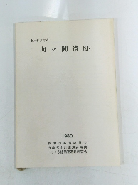 向ヶ岡遺跡　1980