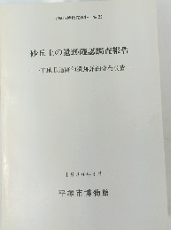 砂丘上の遺跡確認調査報告　1980年3月号