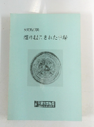 掘り起こされた平塚