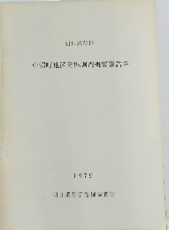 中沼町地区発掘調査概要報告書