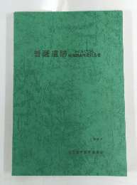 菩薩遺跡発掘調査概要報告書