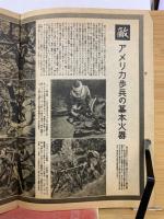 科学朝日 報道と解説