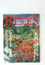 BISES 1997冬号　No.34