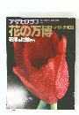 アサヒアラフ　1990年号　花の万博