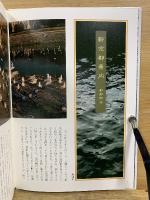 新京都案内 : 都鄙問答