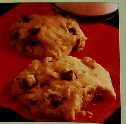 レンジにおまかせ　1993.3.16