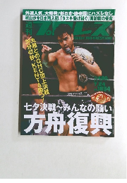 週刊プロレス 2011?2013年