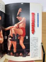 衝撃　BEST SHOTゴング　ゴング創刊14周年記念出版