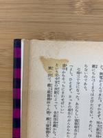 太平洋戦記