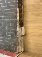 とつくにびと : 風変りな遊行者