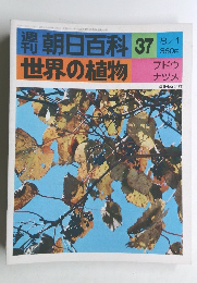 朝日百科　8/1号　世界の植物　37