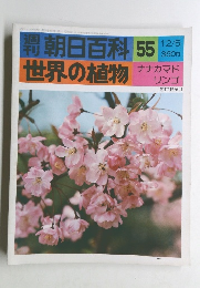 朝日百科 55　12/5