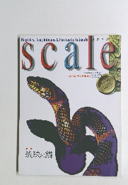 scale　００５　１９９８年秋号