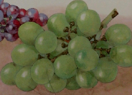 NHKきょうの料理　1975年9月号